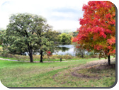 Fall, Crystal Lake Nature Park, painted